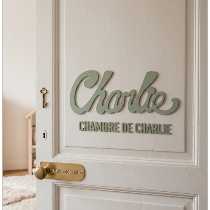 Plaque de porte sans motif Nouvelle Palette couleur Gris Cendre